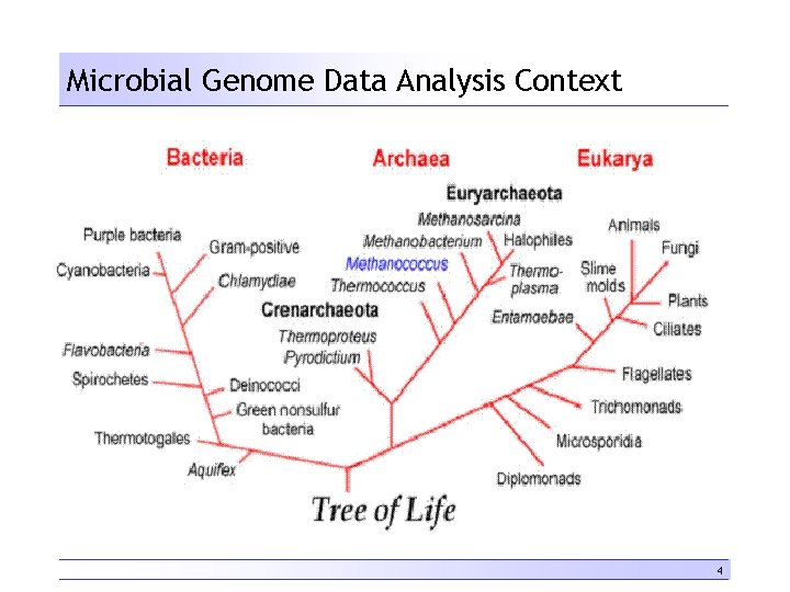 Microbial Genome Data Analysis Context 4 