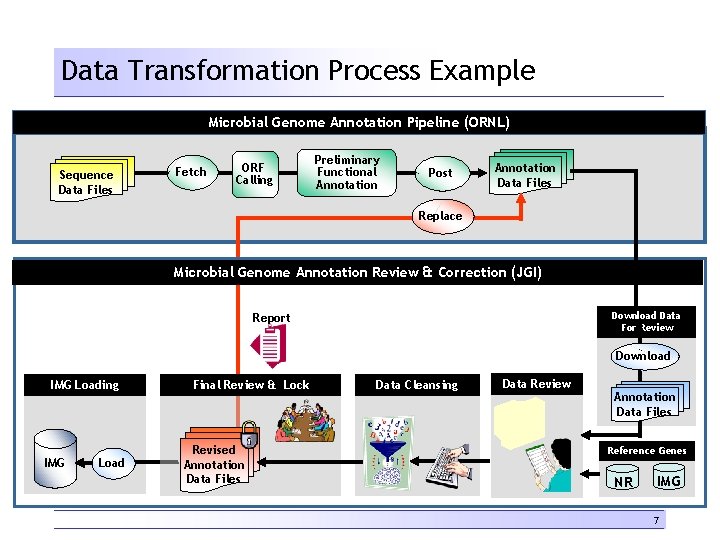 Data Transformation Process Example Microbial Genome Annotation Pipeline (ORNL) Sequence Data Files Fetch ORF