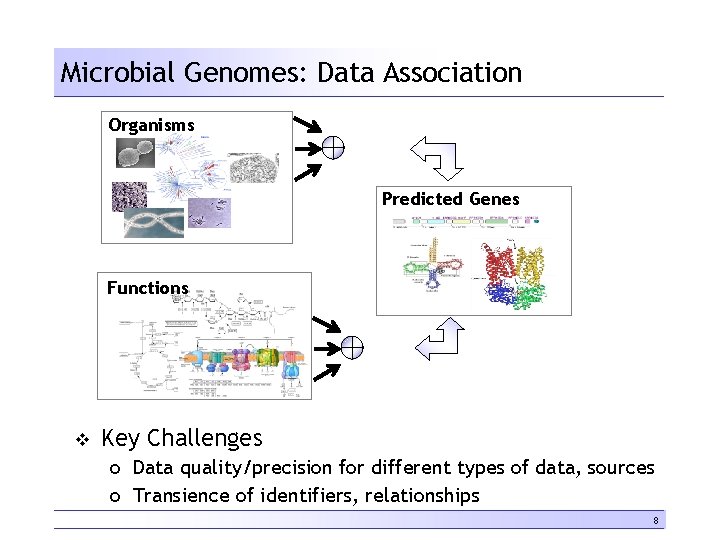 Microbial Genomes: Data Association Organisms Predicted Genes Functions v Key Challenges o Data quality/precision
