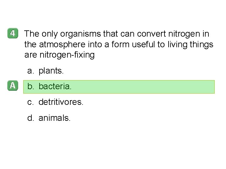 3– 3 The only organisms that can convert nitrogen in the atmosphere into a 3– 3 The only organisms that can convert nitrogen in the atmosphere into a