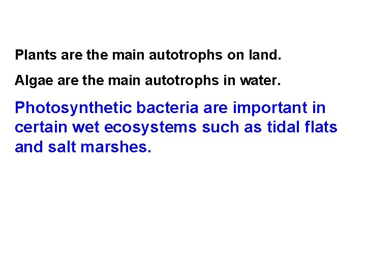 Plants are the main autotrophs on land. Algae are the main autotrophs in water.