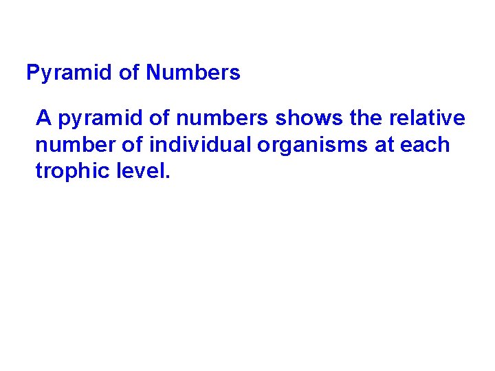 Pyramid of Numbers A pyramid of numbers shows the relative number of individual organisms Pyramid of Numbers A pyramid of numbers shows the relative number of individual organisms