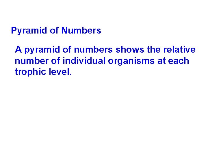 Pyramid of Numbers A pyramid of numbers shows the relative number of individual organisms