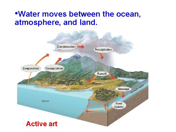  • Water moves between the ocean, atmosphere, and land. Active art 