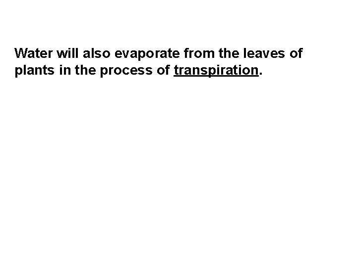 Water will also evaporate from the leaves of plants in the process of transpiration. Water will also evaporate from the leaves of plants in the process of transpiration.