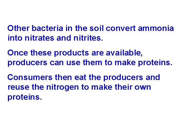 Other bacteria in the soil convert ammonia into nitrates and nitrites. Once these products