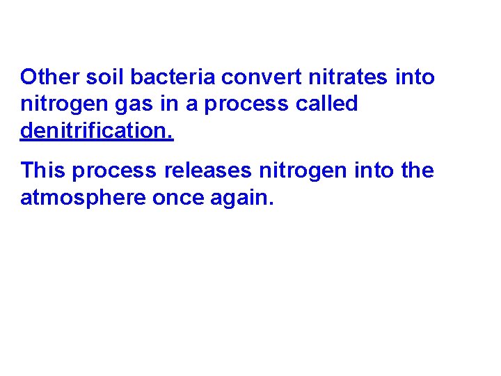 Other soil bacteria convert nitrates into nitrogen gas in a process called denitrification. This