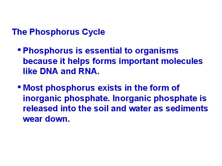 The Phosphorus Cycle • Phosphorus is essential to organisms because it helps forms important