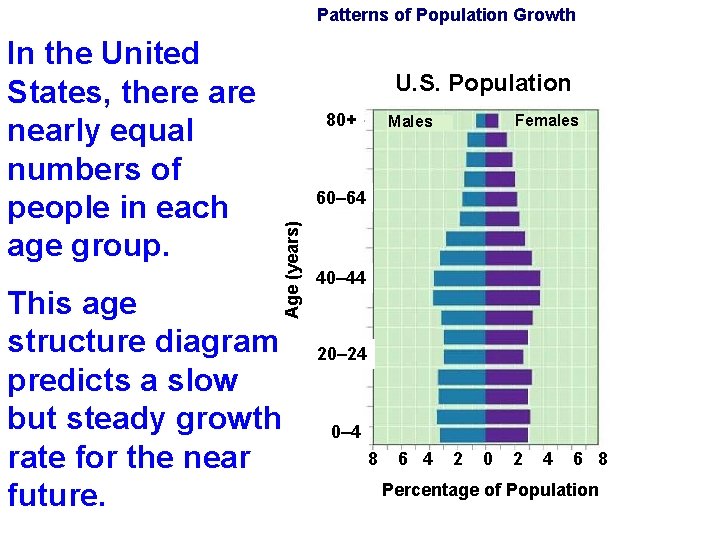 Patterns of Population Growth U. S. Population 80+ Females Males 60– 64 Age (years)