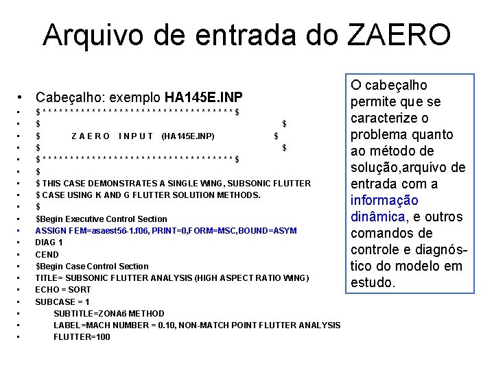 Arquivo de entrada do ZAERO • Cabeçalho: exemplo HA 145 E. INP • •