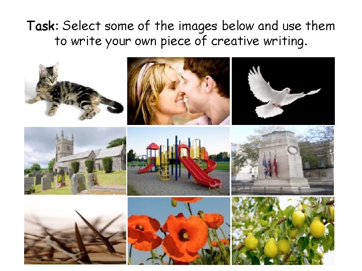 Task: Select some of the images below and use them to write your own