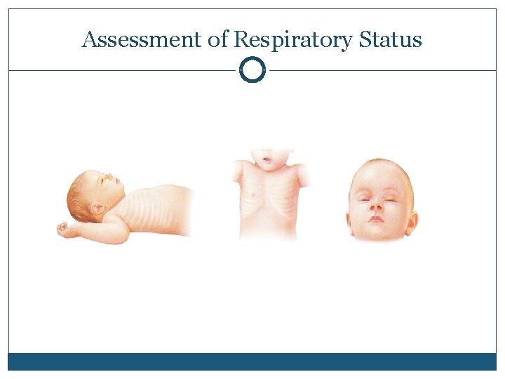 Assessment of Respiratory Status 