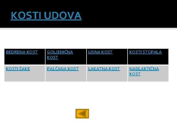 KOSTI UDOVA BEDRENA KOST GOLJENIČNA KOST LISNA KOSTI STOPALA KOSTI ŠAKE PALČANA KOST LAKATNA