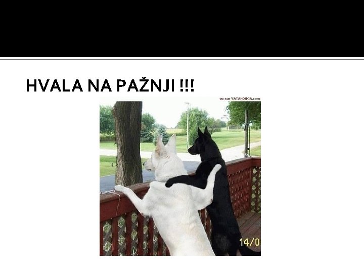 HVALA NA PAŽNJI !!! 