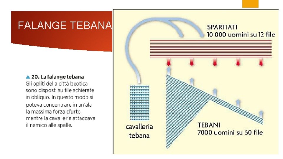 FALANGE TEBANA 