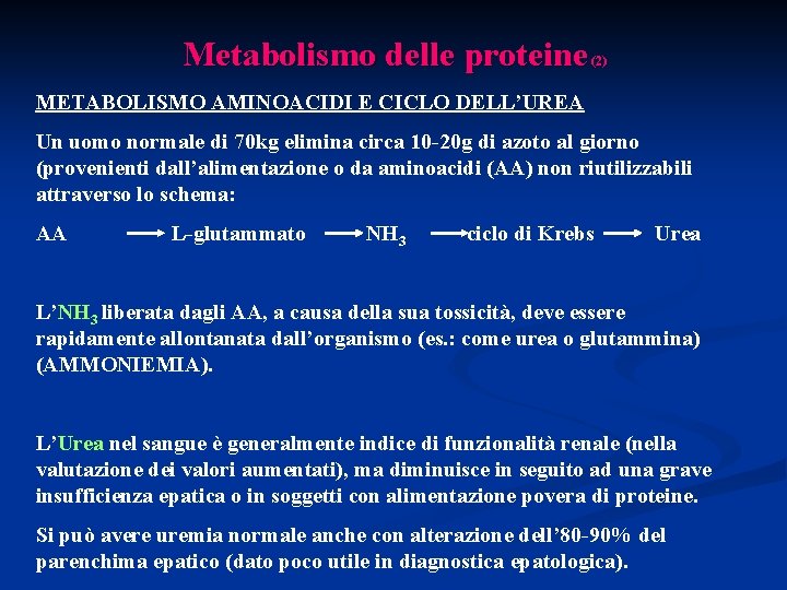 Metabolismo delle proteine (2) METABOLISMO AMINOACIDI E CICLO DELL’UREA Un uomo normale di 70