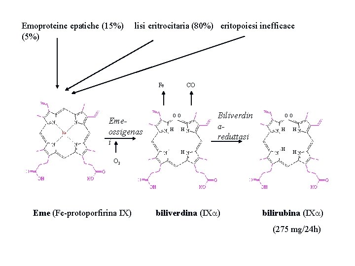 Emoproteine epatiche (15%) (5%) lisi eritrocitaria (80%) eritopoiesi inefficace Fe Emeossigenas i CO OO