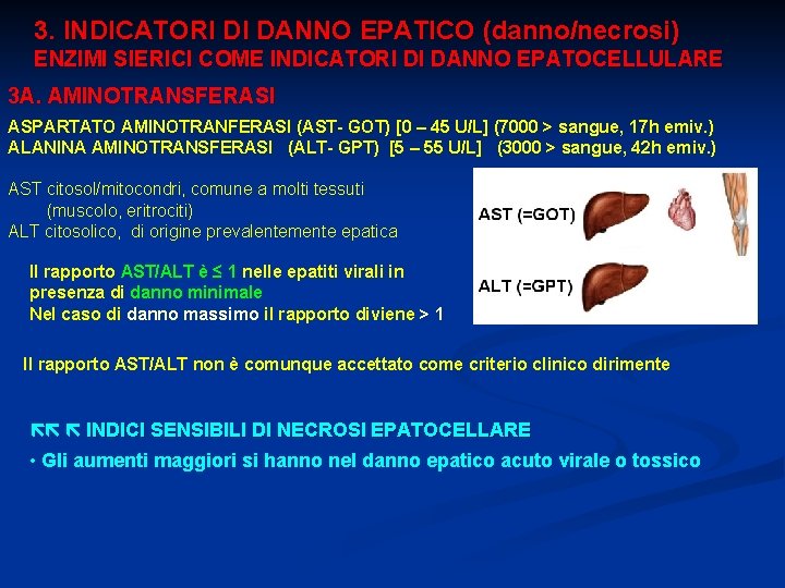 3. INDICATORI DI DANNO EPATICO (danno/necrosi) ENZIMI SIERICI COME INDICATORI DI DANNO EPATOCELLULARE 3