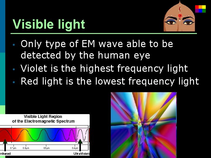 Visible light • • • Only type of EM wave able to be detected