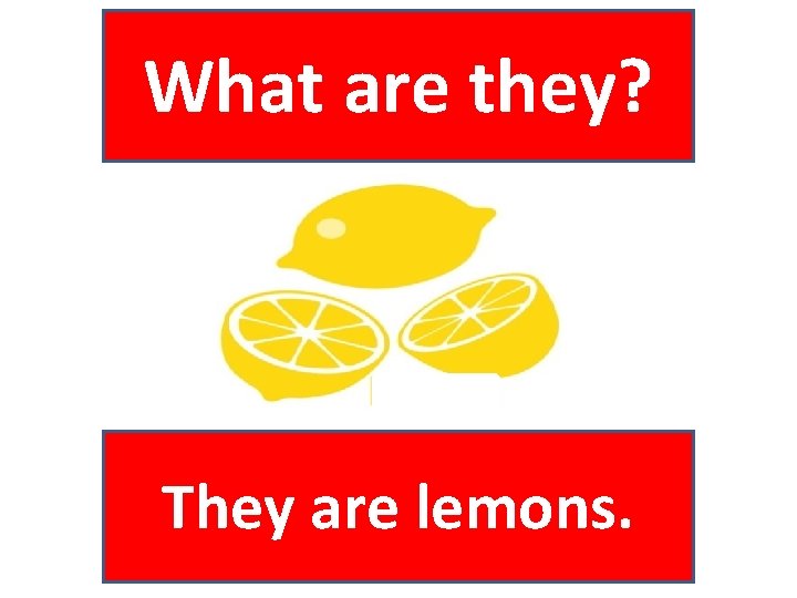 What are they? They are lemons. 