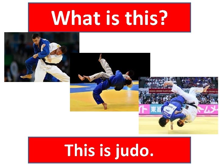 What is this? This is judo. 