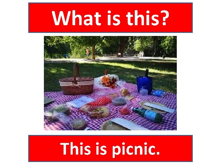 What is this? This is picnic. 