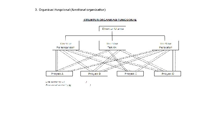 3. Organisasi fungsional (functional organization) 