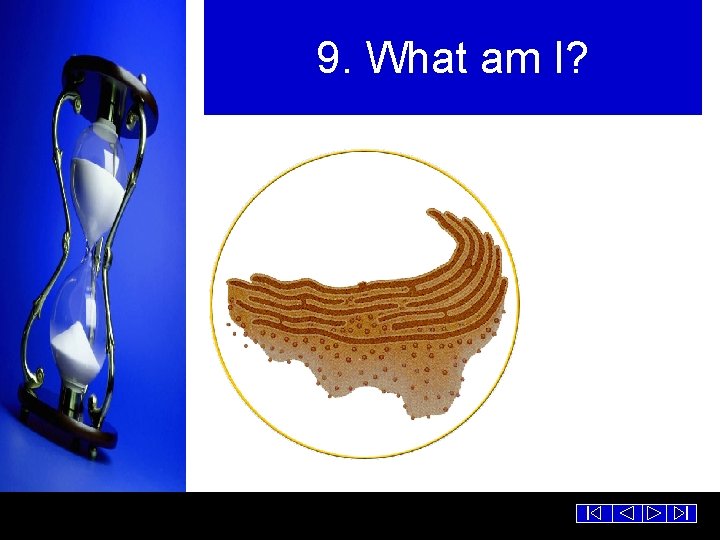 9. What am I? 