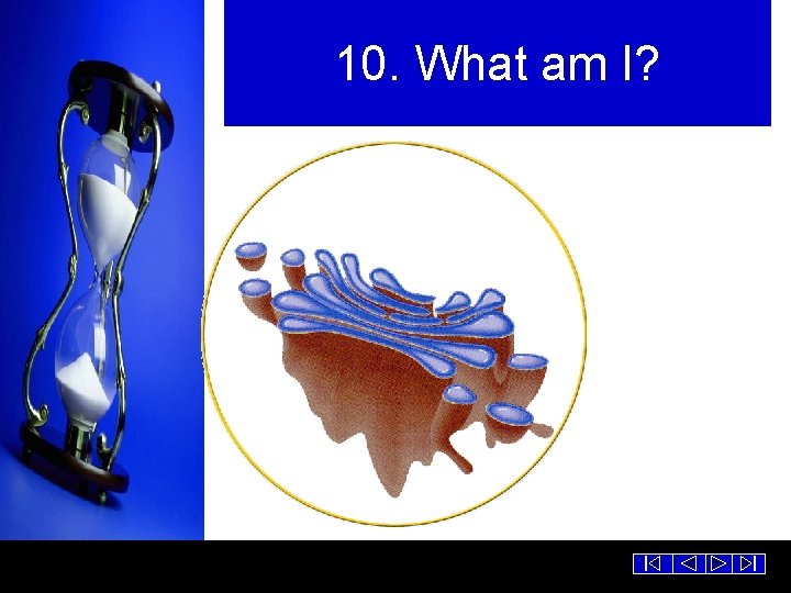10. What am I? 