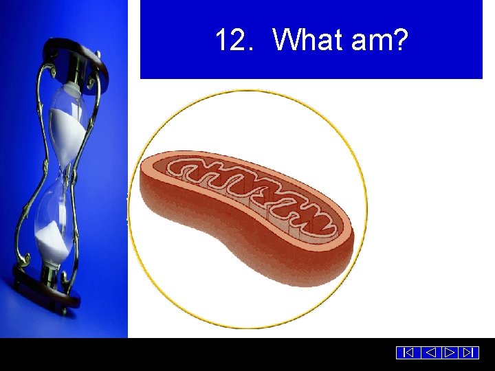 12. What am? 