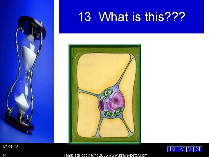 13 What is this? ? ? 1/1/2022 14 Template copyright 2005 www. brainybetty. com