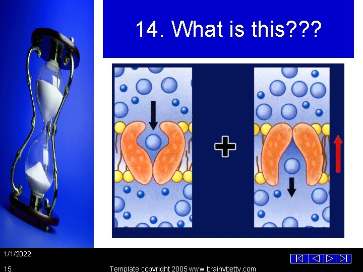14. What is this? ? ? 1/1/2022 15 Template copyright 2005 www. brainybetty. com