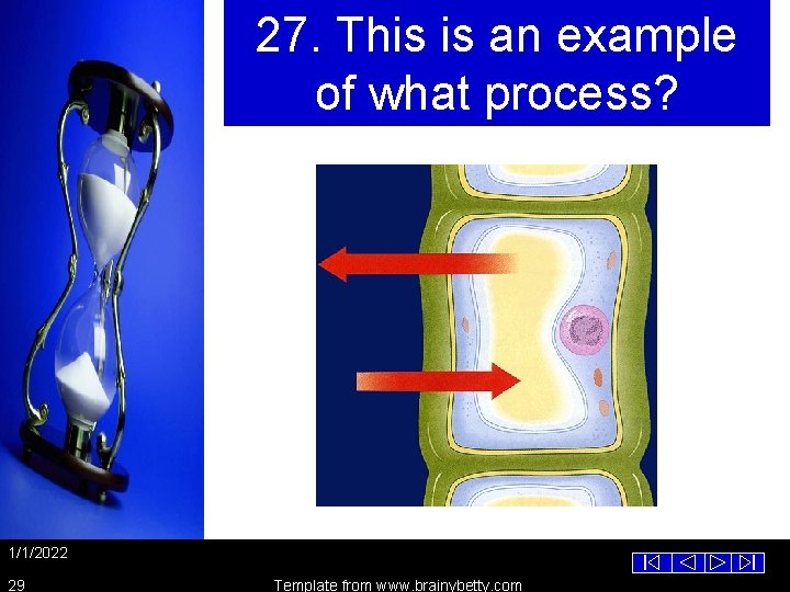27. This is an example of what process? 1/1/2022 29 Template from www. brainybetty.