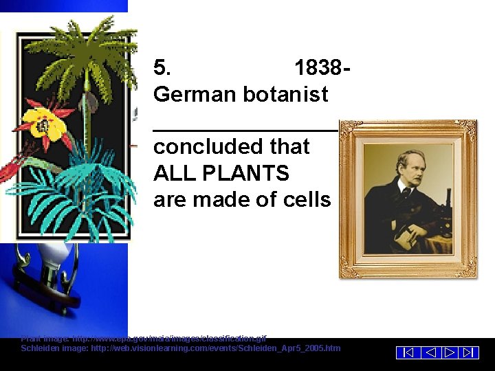 5. 1838 German botanist _____________ concluded that ALL PLANTS are made of cells Plant