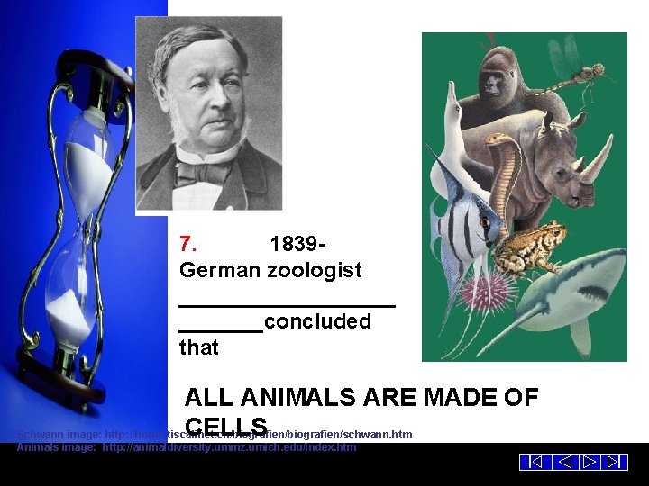 7. 1839 German zoologist _________concluded that ALL ANIMALS ARE MADE OF CELLS Schwann image: