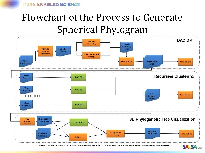 Flowchart of the Process to Generate Spherical Phylogram 