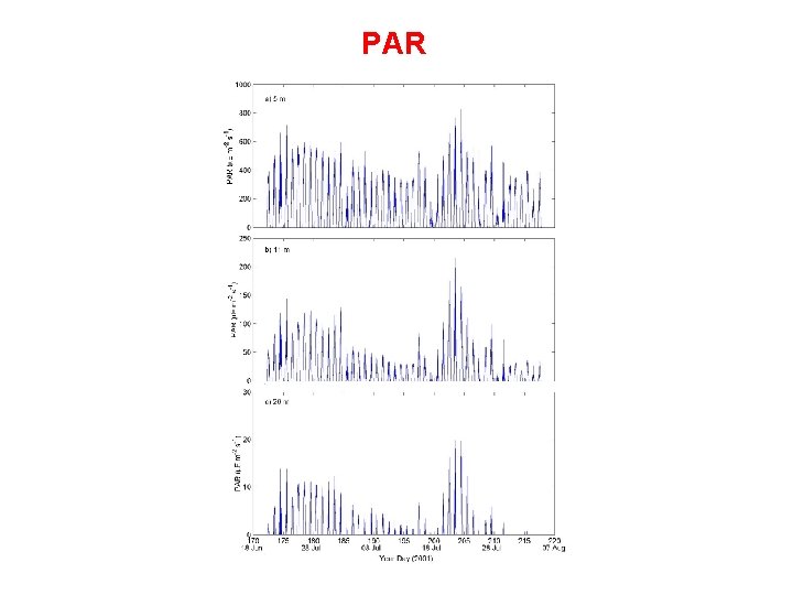 PAR 