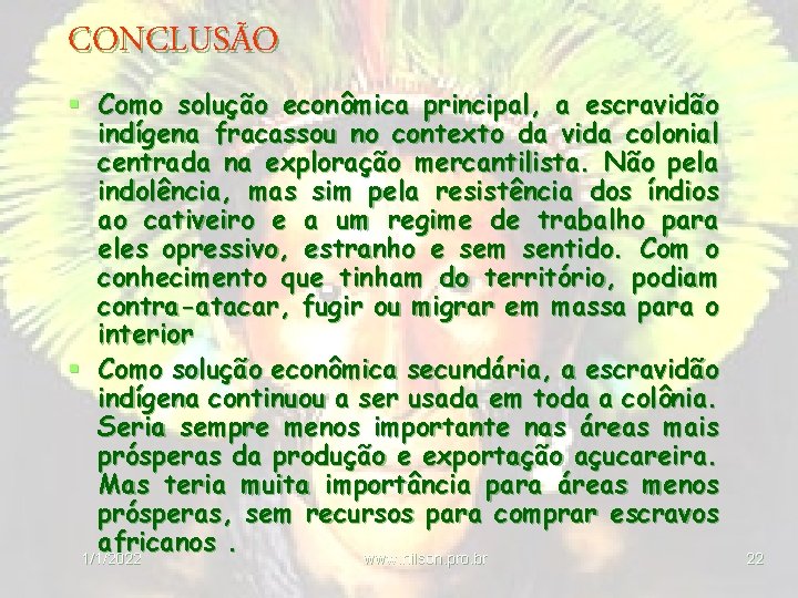 CONCLUSÃO § Como solução econômica principal, a escravidão indígena fracassou no contexto da vida