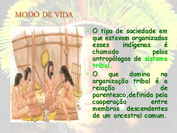 MODO DE VIDA § O tipo de sociedade em que estavam organizados esses indígenas