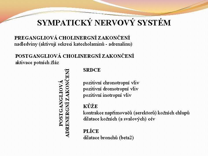 SYMPATICKÝ NERVOVÝ SYSTÉM PREGANGLIOVÁ CHOLINERGNÍ ZAKONČENÍ nadledviny (aktivují sekreci katecholaminů - adrenalinu) POSTGANGLIOVÁ ADRENERGNÍ