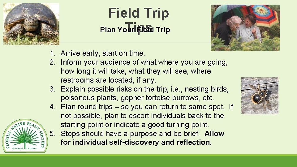 Field Trip Plan Your Field Trip Tips 1. Arrive early, start on time. 2.