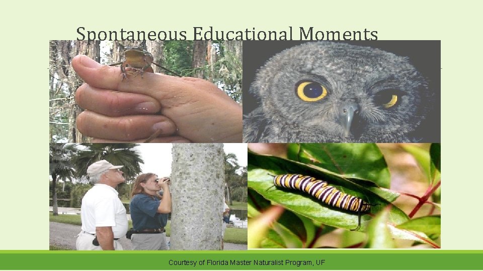 Spontaneous Educational Moments Courtesy of Florida Master Naturalist Program, UF 