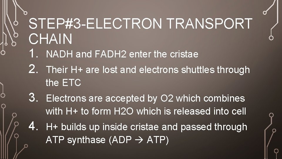 STEP#3 -ELECTRON TRANSPORT CHAIN 1. 2. NADH and FADH 2 enter the cristae 3.
