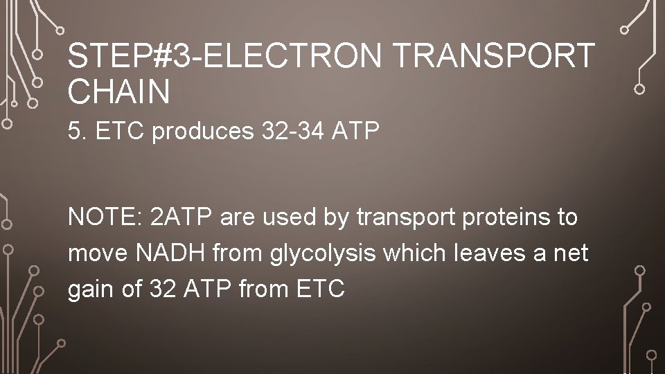 STEP#3 -ELECTRON TRANSPORT CHAIN 5. ETC produces 32 -34 ATP NOTE: 2 ATP are