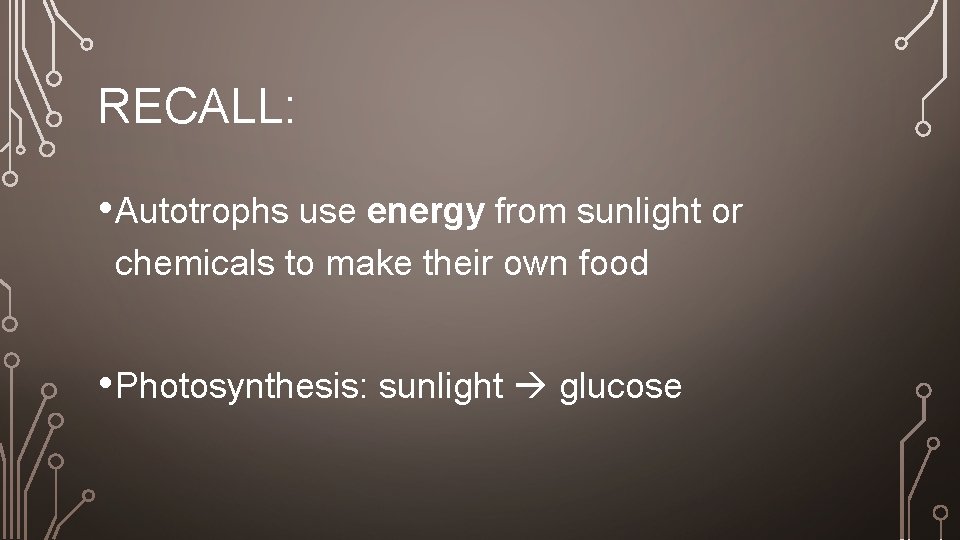 RECALL: • Autotrophs use energy from sunlight or chemicals to make their own food