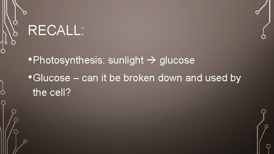 RECALL: • Photosynthesis: sunlight glucose • Glucose – can it be broken down and