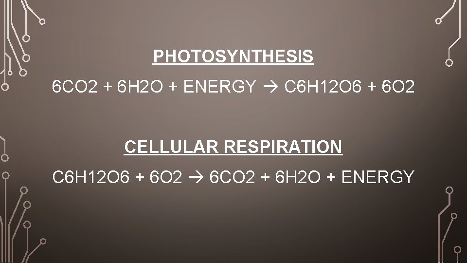 PHOTOSYNTHESIS 6 CO 2 + 6 H 2 O + ENERGY C 6 H