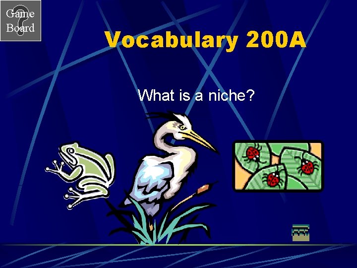Game Board Vocabulary 200 A What is a niche? 