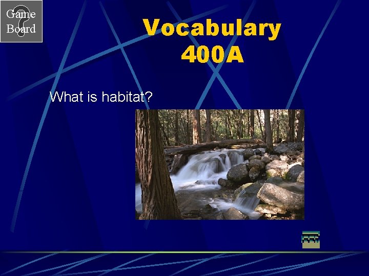 Game Board Vocabulary 400 A What is habitat? 