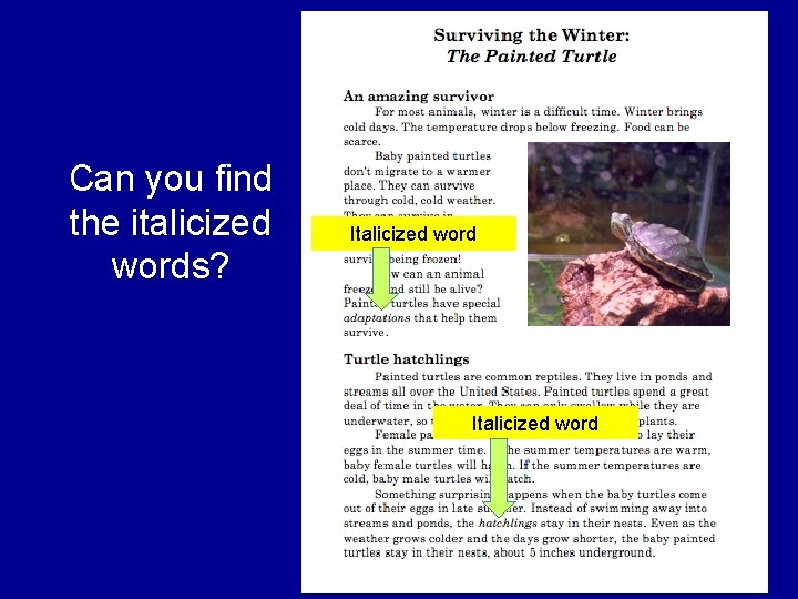 Can you find the italicized words? Italicized word Can you find the italicized words? Italicized word